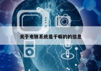关于电销系统是干嘛的的信息