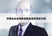 石嘴山企业电销系统加盟的简单介绍
