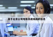 关于北京公司电销系统线路的信息
