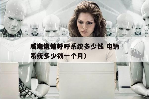威海电销外呼系统多少钱 电销
（电销外呼系统多少钱一个月）