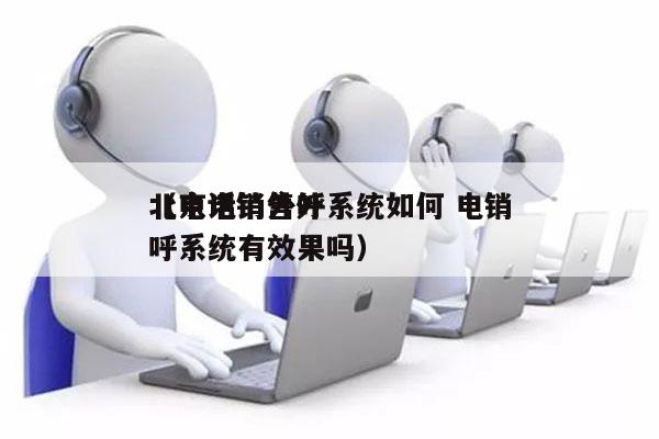 北京电销外呼系统如何 电销
（电话销售外呼系统有效果吗）