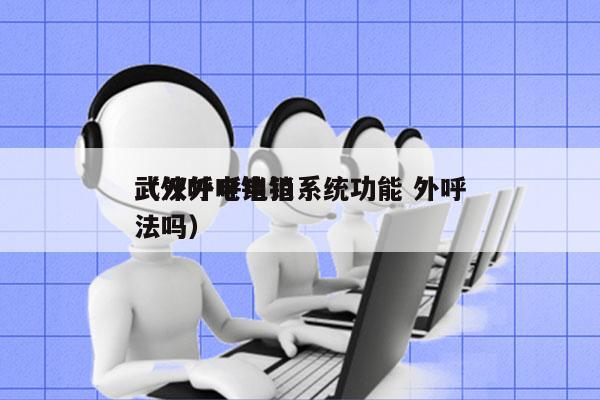武汉外呼电销系统功能 外呼
（外呼电销犯法吗）
