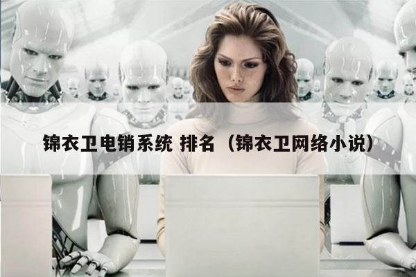 锦衣卫电销系统 排名（锦衣卫网络小说）
