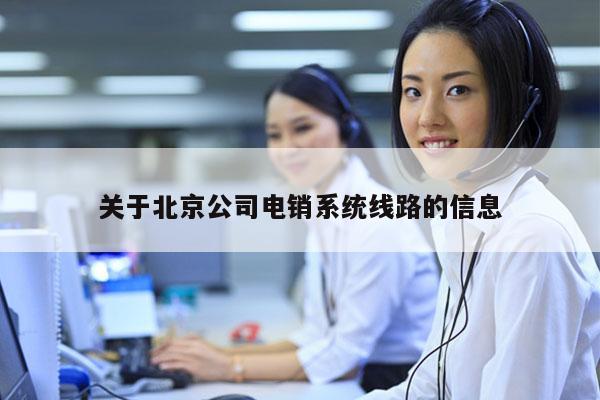 关于北京公司电销系统线路的信息