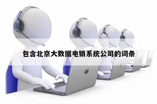 包含北京大数据电销系统公司的词条
